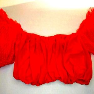 Fashion Nova Crop Top